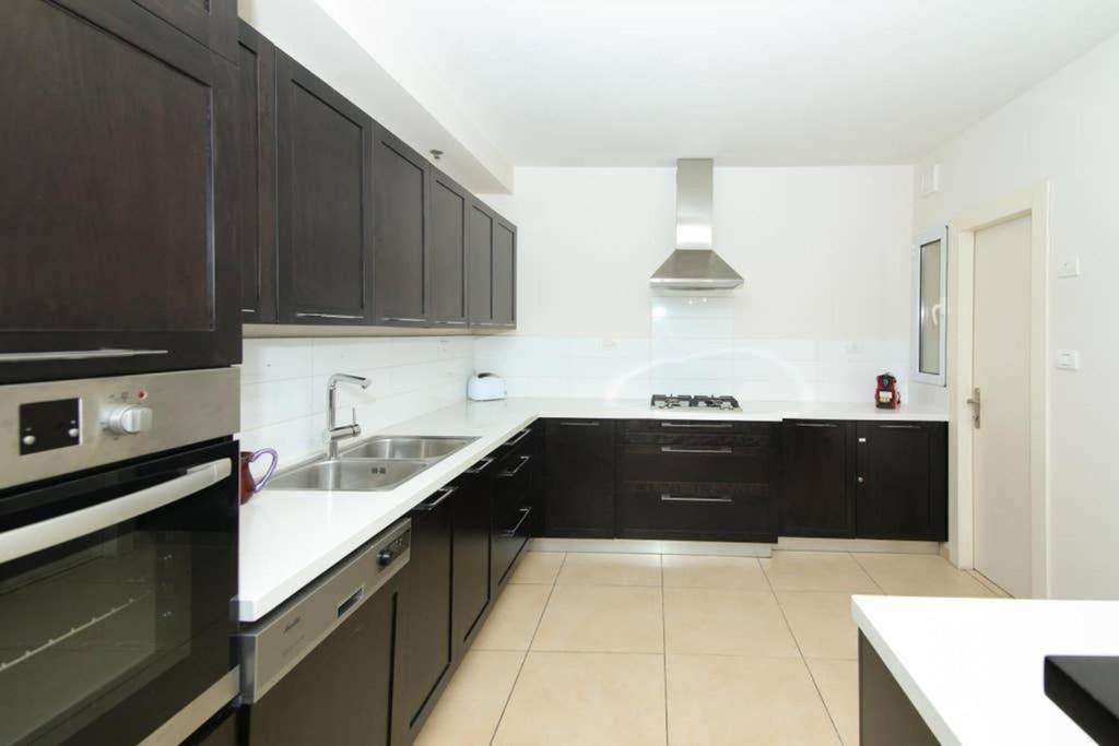107 - King David - Jerusalem-rent *